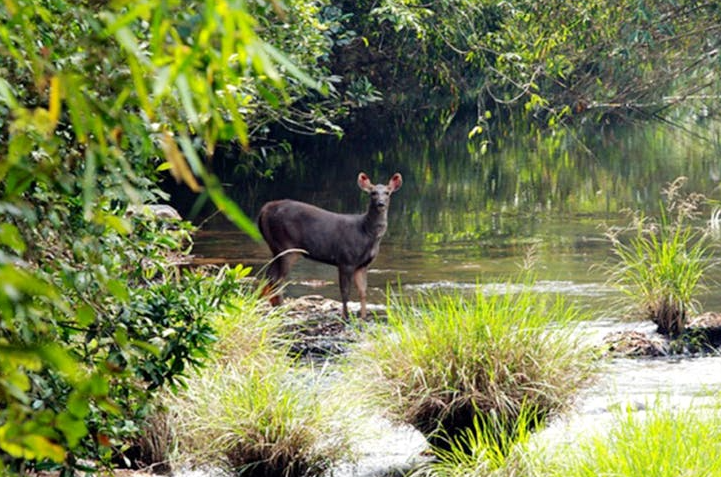 Sai Sanctuary